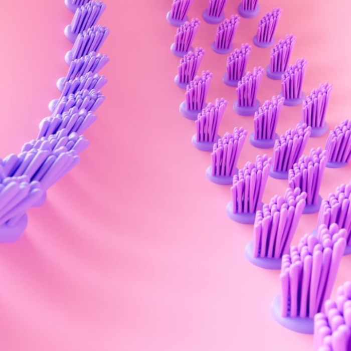 What Can Humans Hear? Exploring the World of Auditory Perception